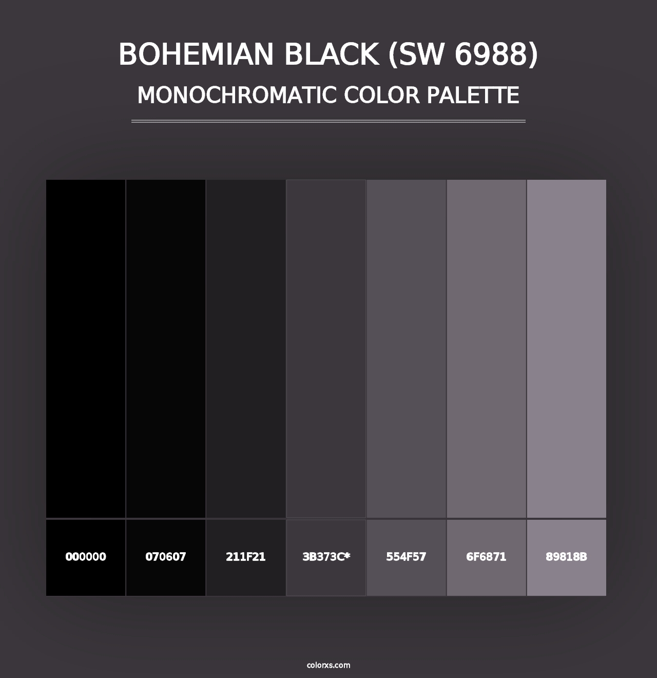 Bohemian Black (SW 6988) - Monochromatic Color Palette