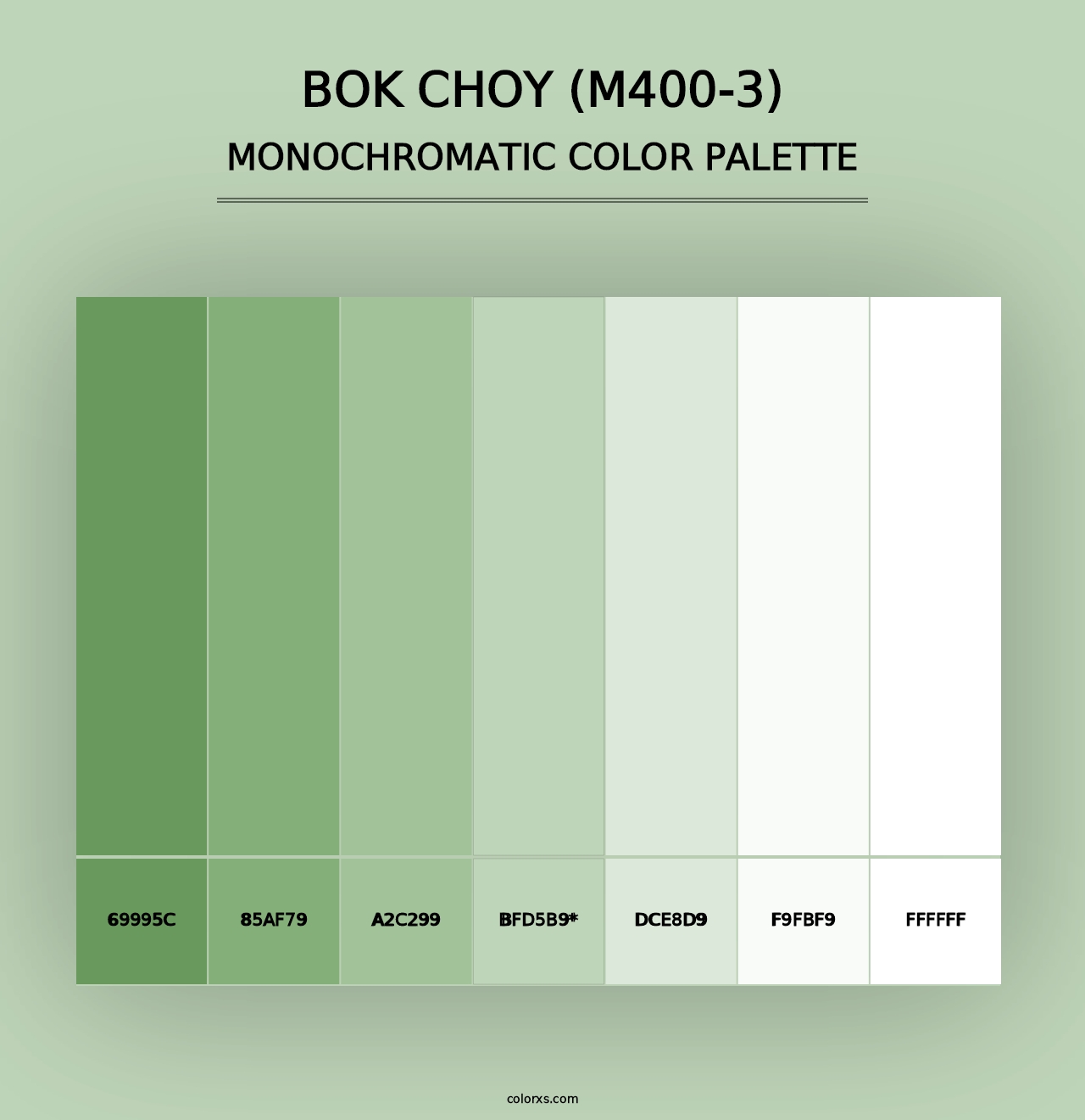 Bok Choy (M400-3) - Monochromatic Color Palette