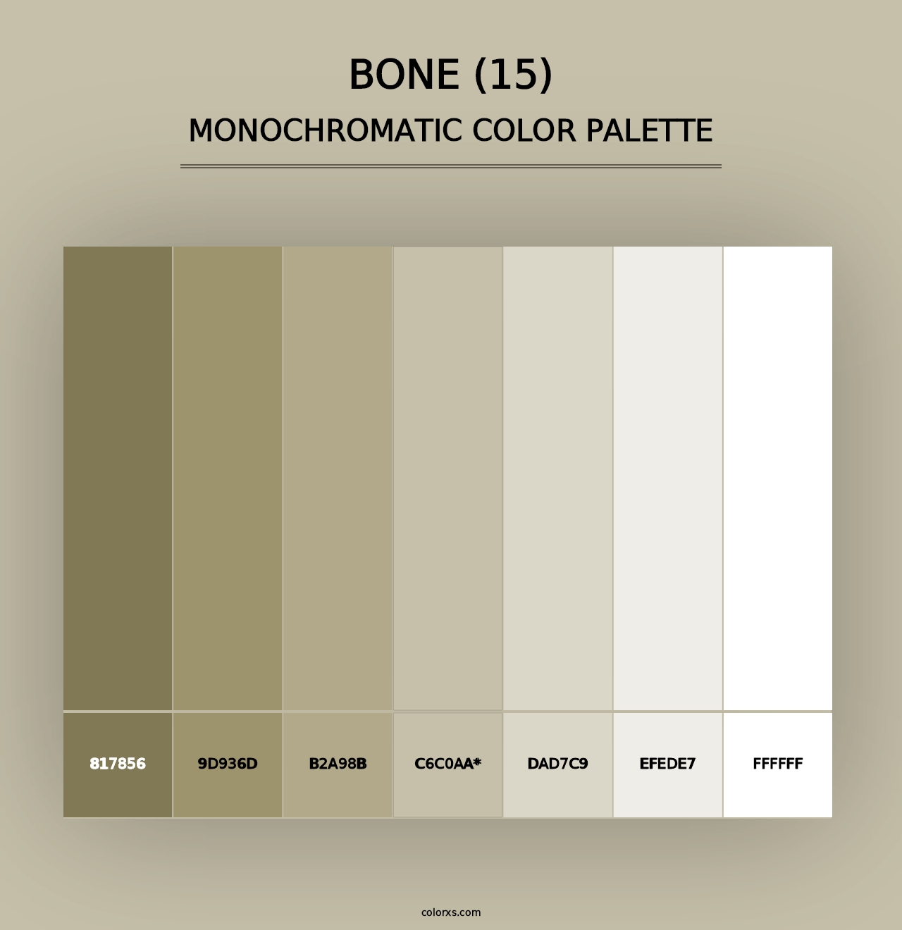 Bone (15) - Monochromatic Color Palette