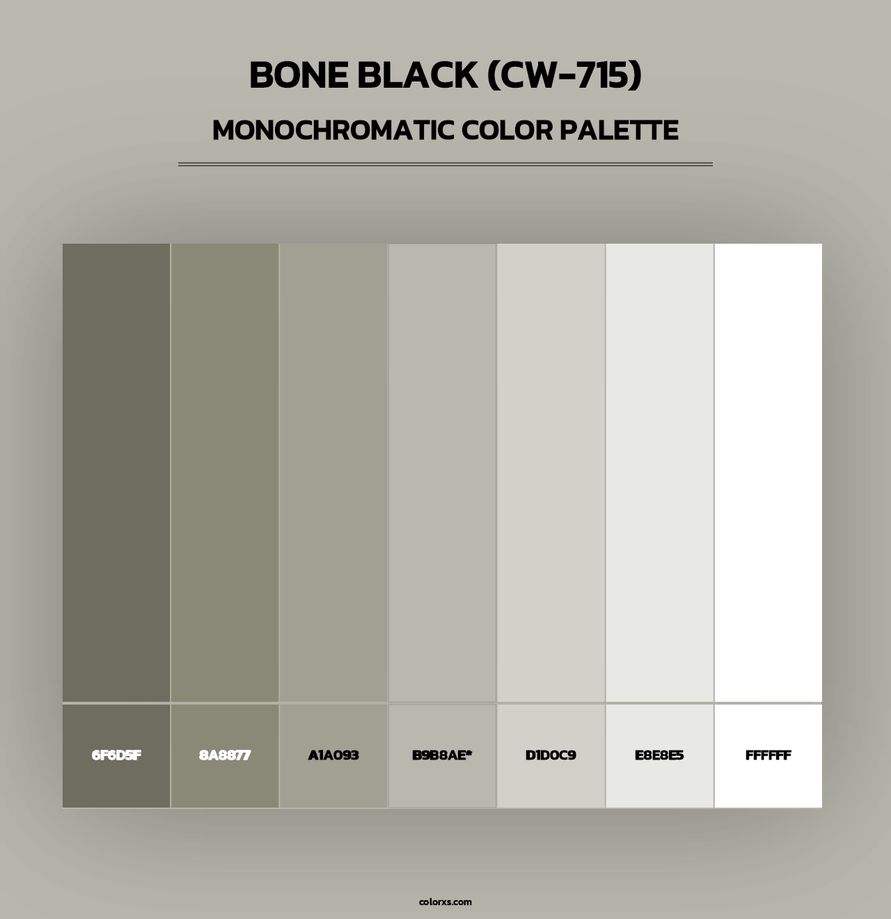 Bone Black (CW-715) - Monochromatic Color Palette