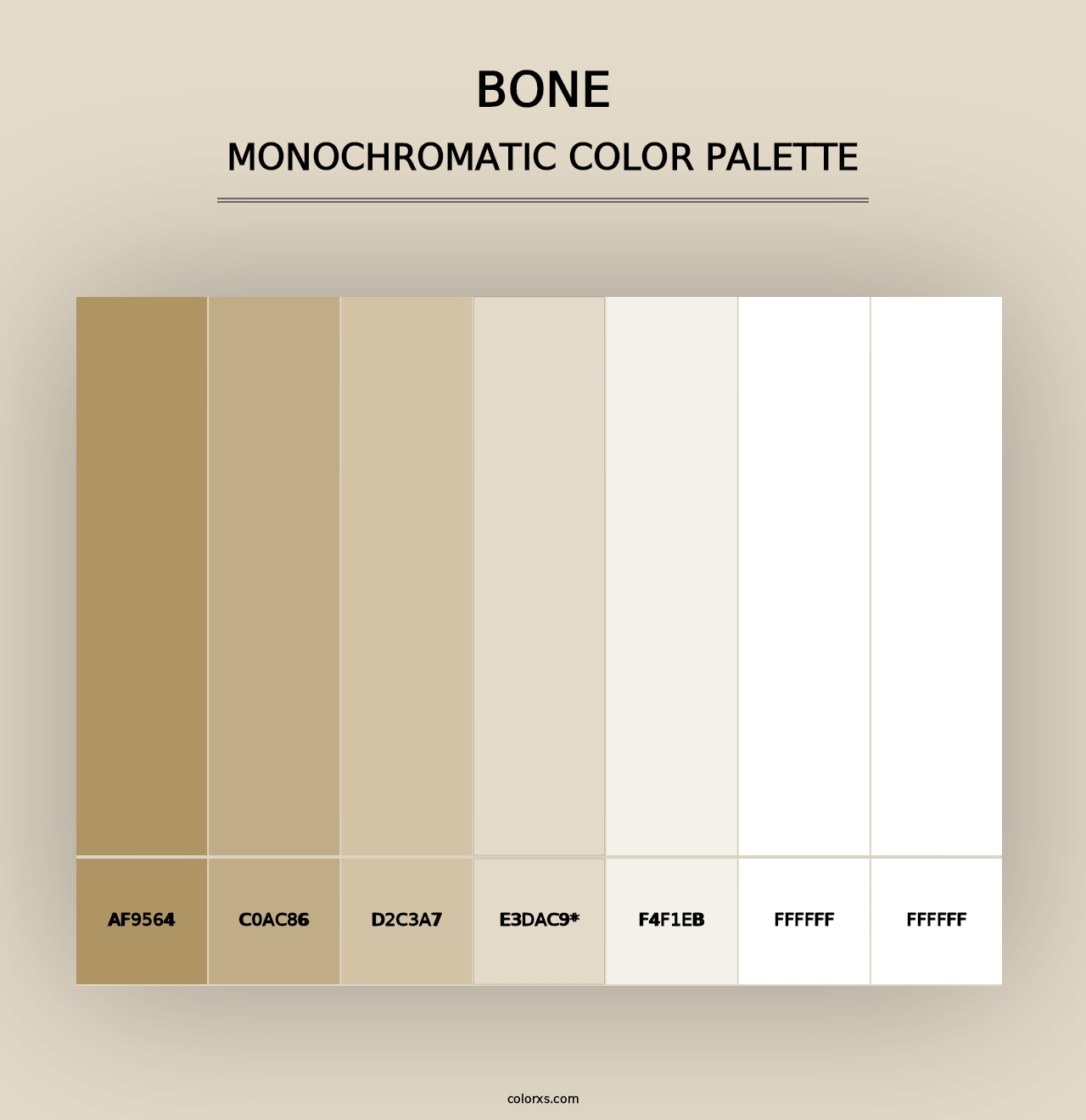 Bone - Monochromatic Color Palette