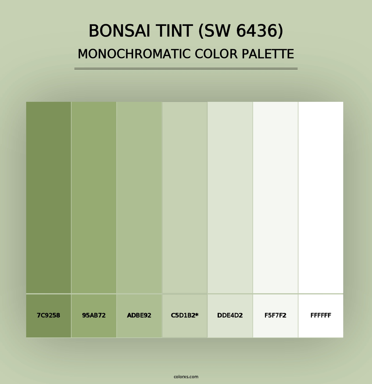 Bonsai Tint (SW 6436) - Monochromatic Color Palette