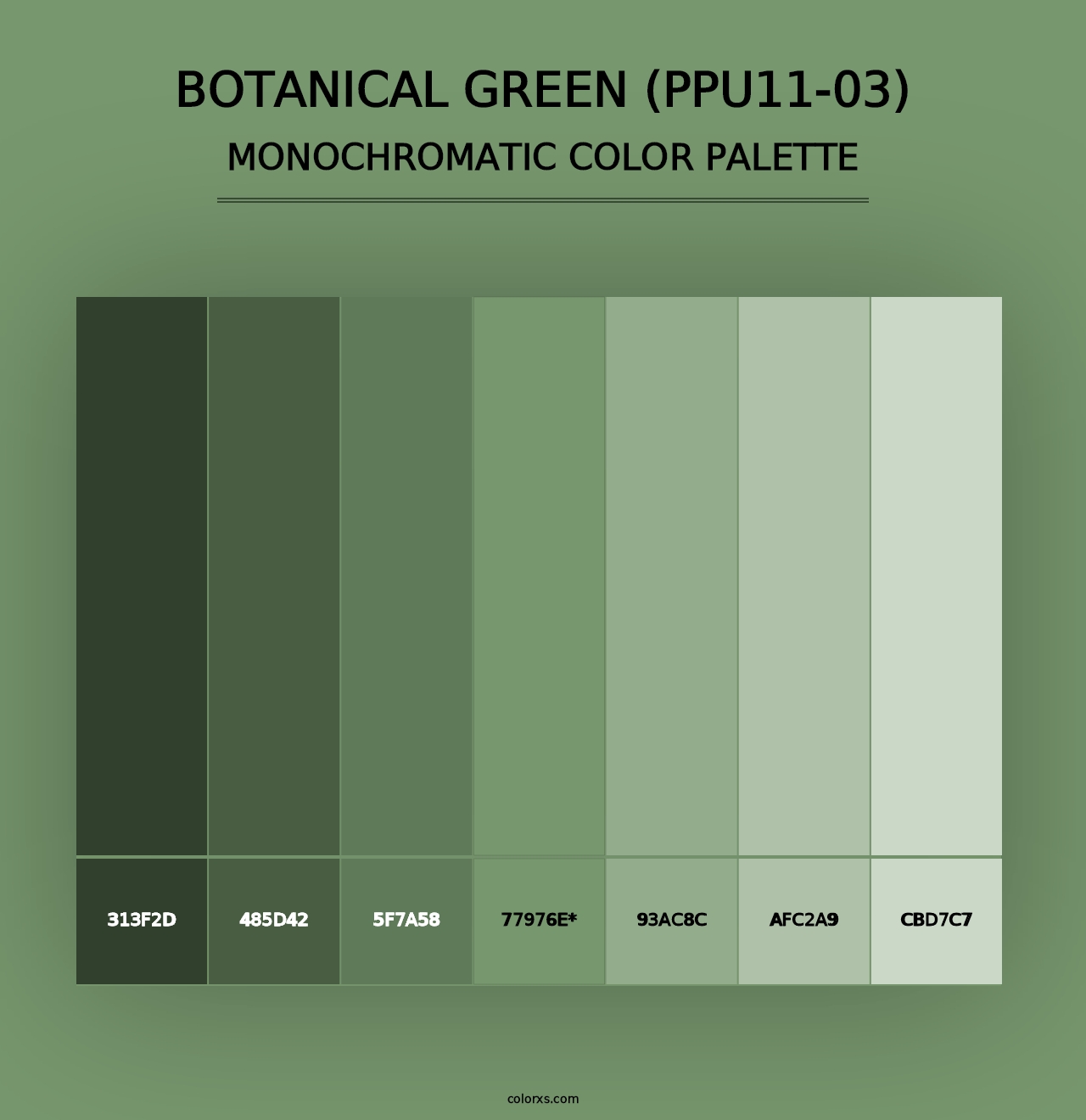 Botanical Green (PPU11-03) - Monochromatic Color Palette