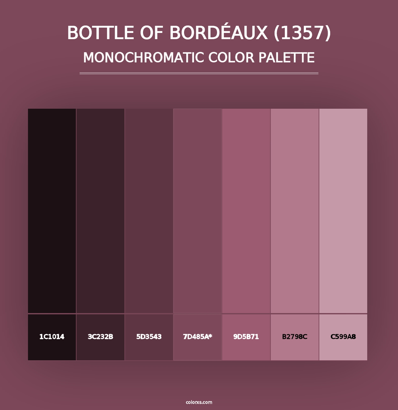 Bottle of Bordéaux (1357) - Monochromatic Color Palette