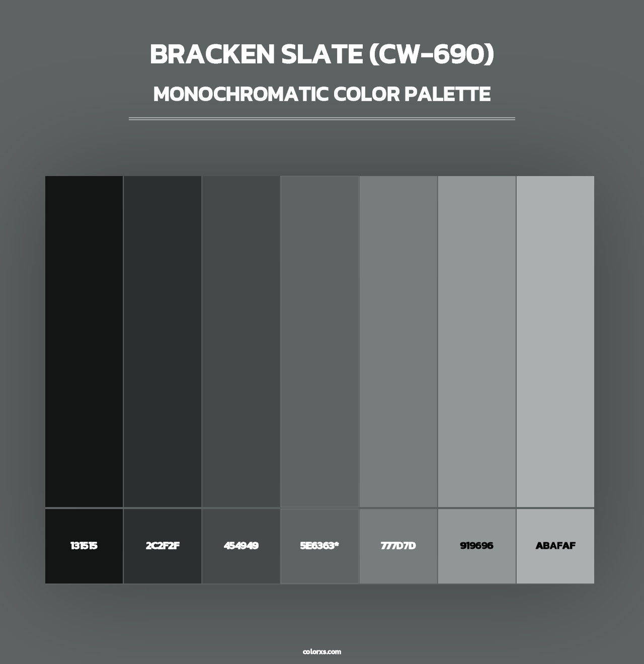 Bracken Slate (CW-690) - Monochromatic Color Palette