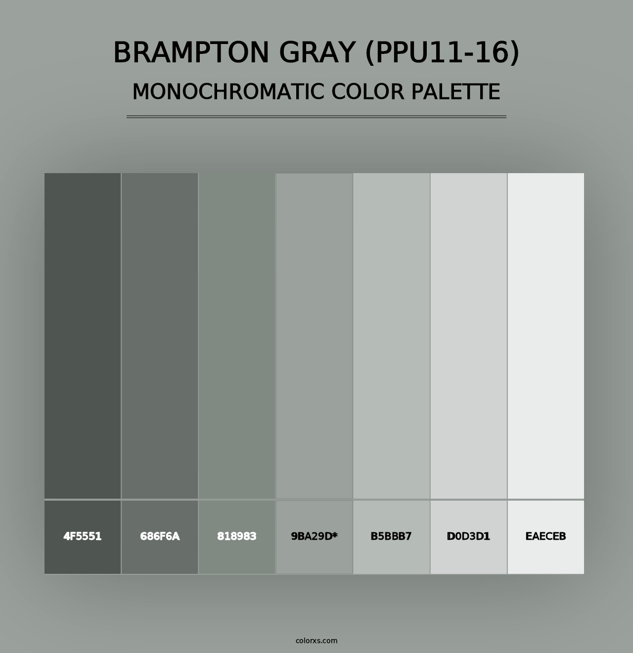 Brampton Gray (PPU11-16) - Monochromatic Color Palette