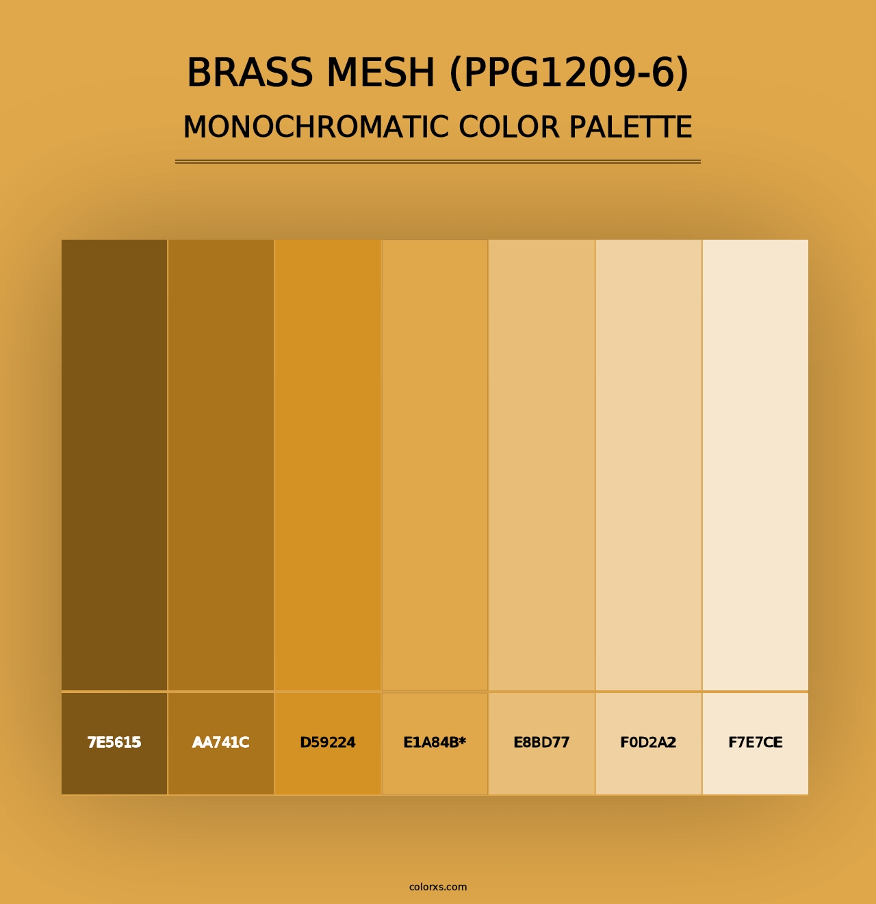 Brass Mesh (PPG1209-6) - Monochromatic Color Palette