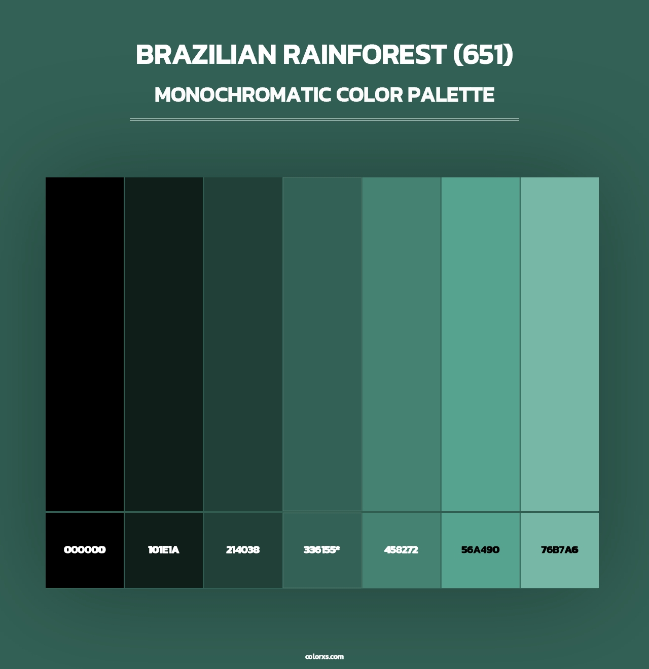 Brazilian Rainforest (651) - Monochromatic Color Palette