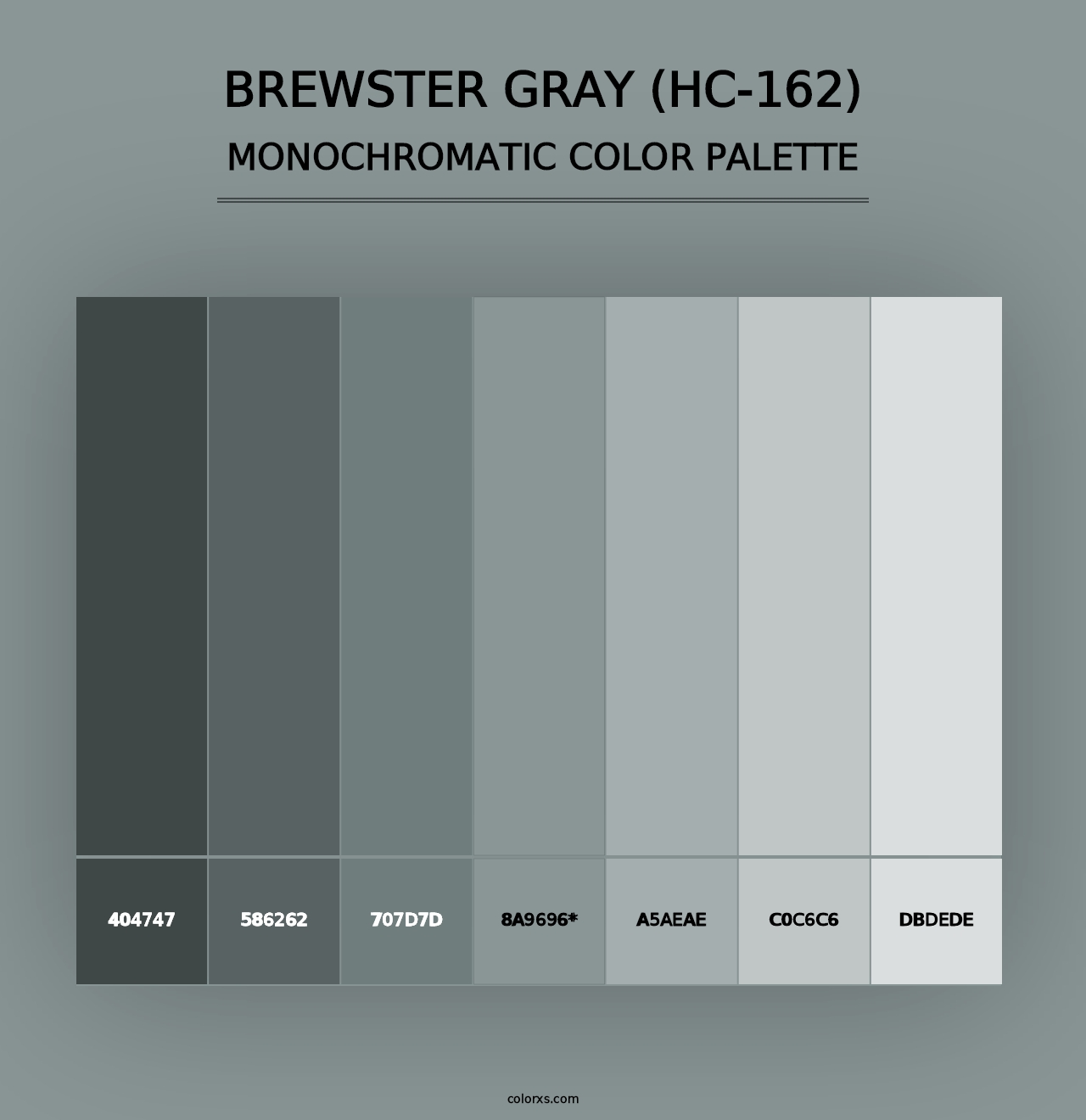 Brewster Gray (HC-162) - Monochromatic Color Palette