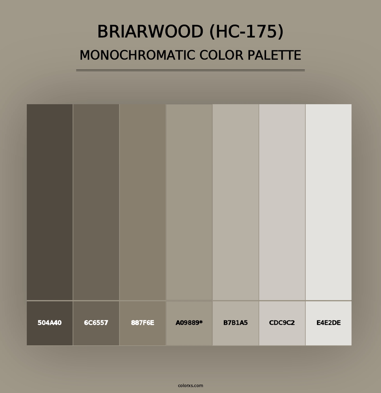 Briarwood (HC-175) - Monochromatic Color Palette