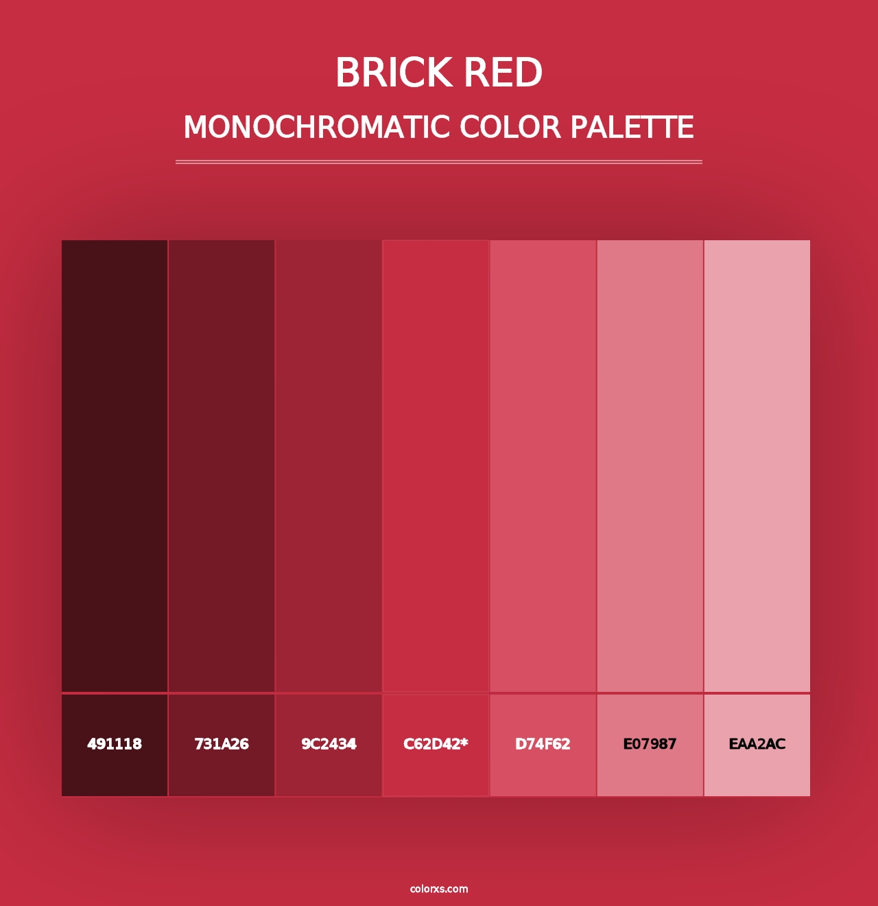 Brick Red - Monochromatic Color Palette