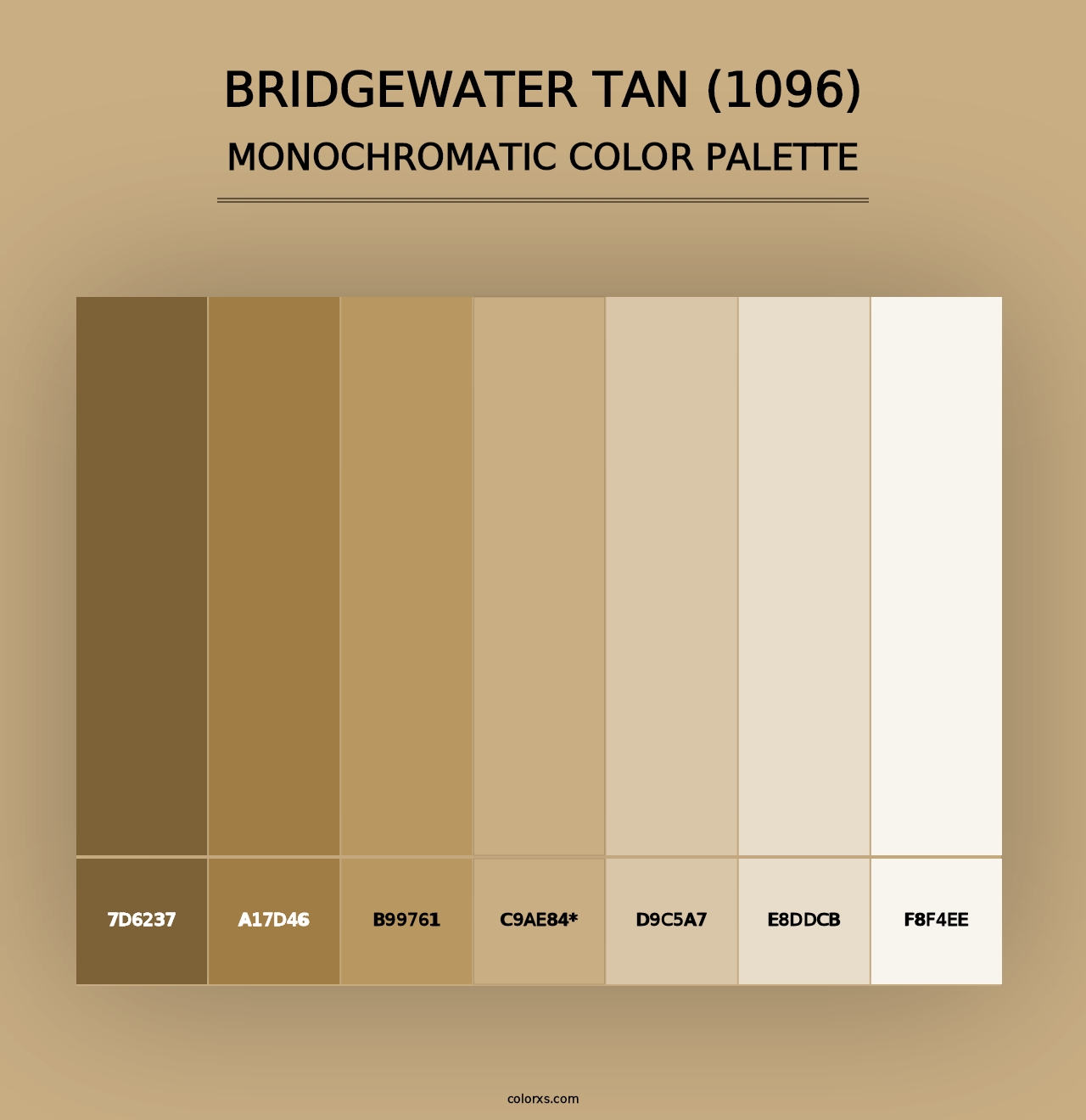 Bridgewater Tan (1096) - Monochromatic Color Palette