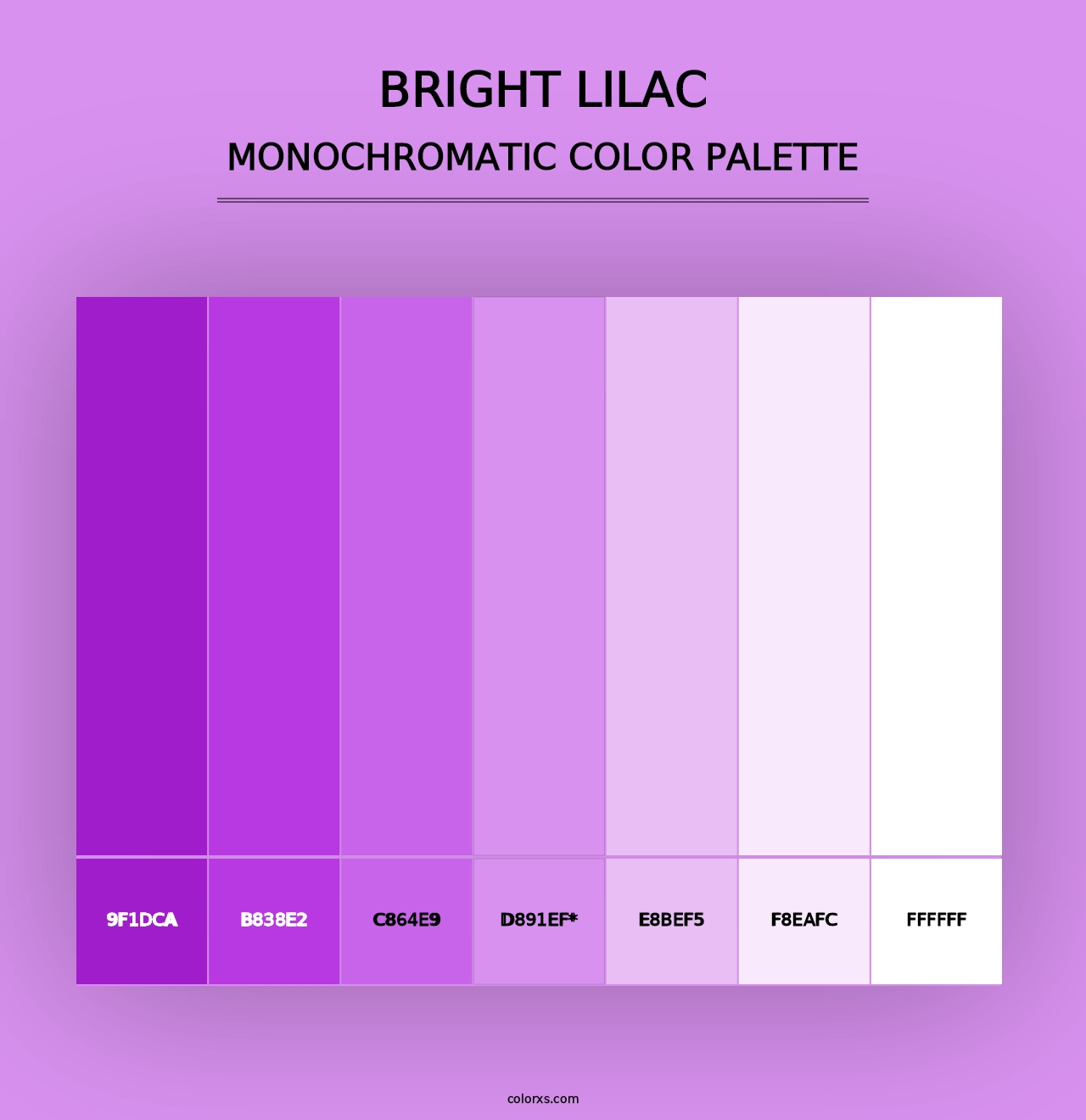 Bright Lilac - Monochromatic Color Palette