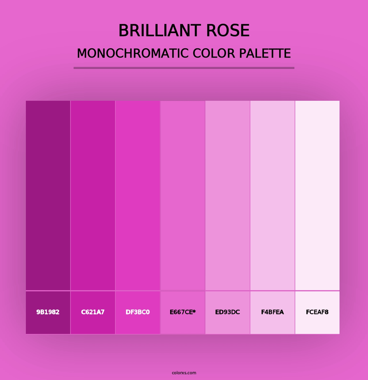 Brilliant Rose - Monochromatic Color Palette