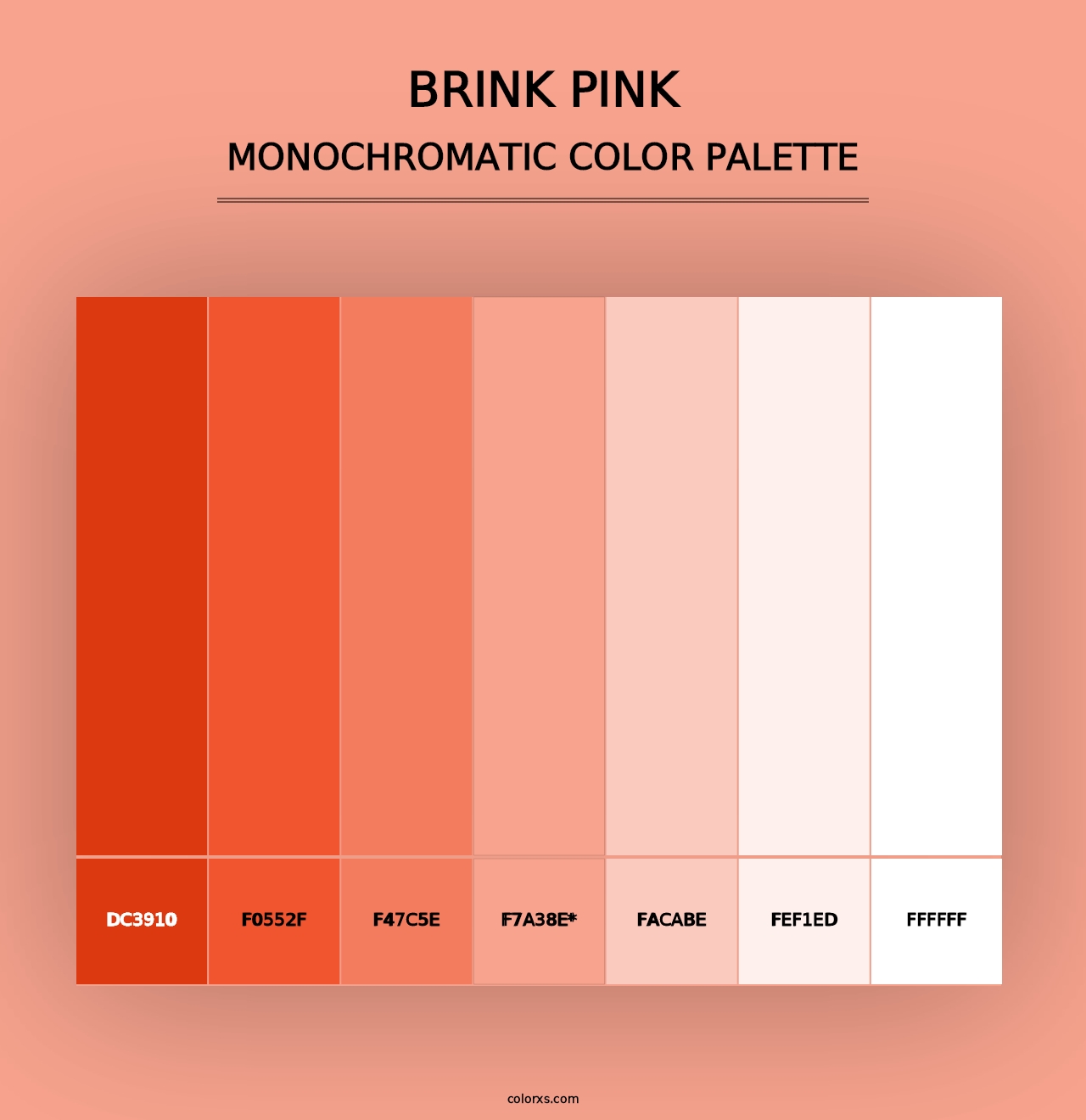 Brink Pink - Monochromatic Color Palette