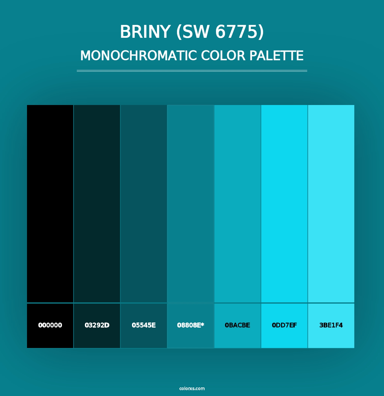 Briny (SW 6775) - Monochromatic Color Palette