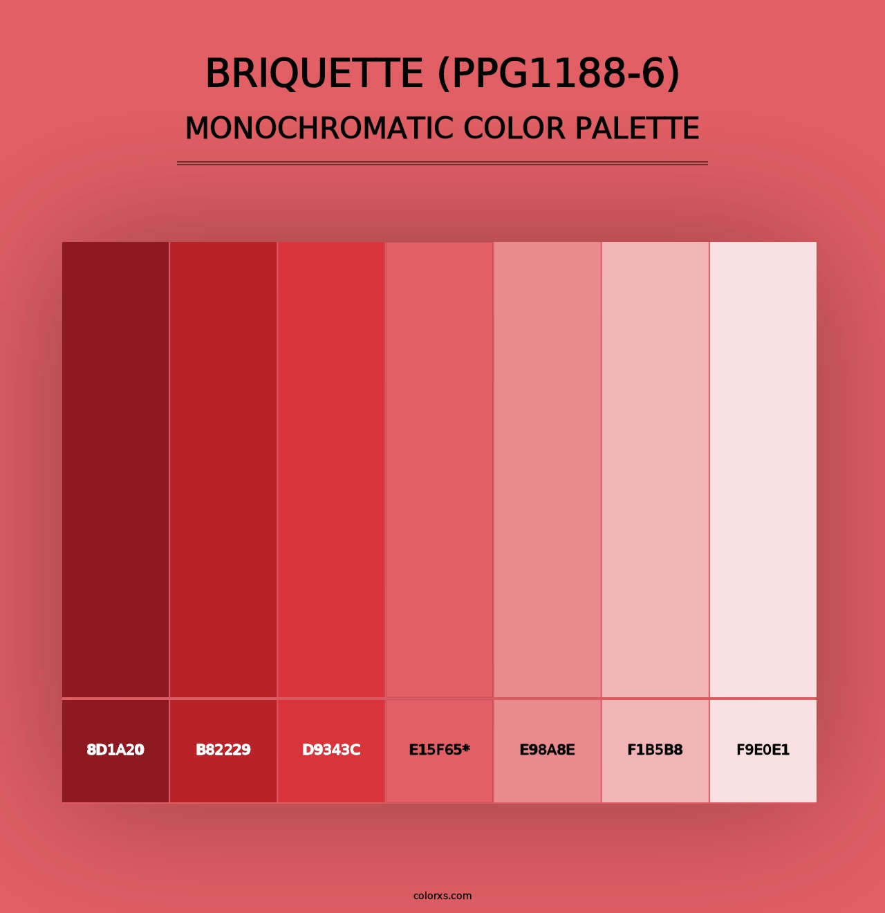 Briquette (PPG1188-6) - Monochromatic Color Palette