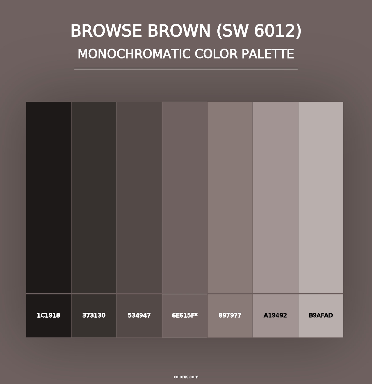 Browse Brown (SW 6012) - Monochromatic Color Palette