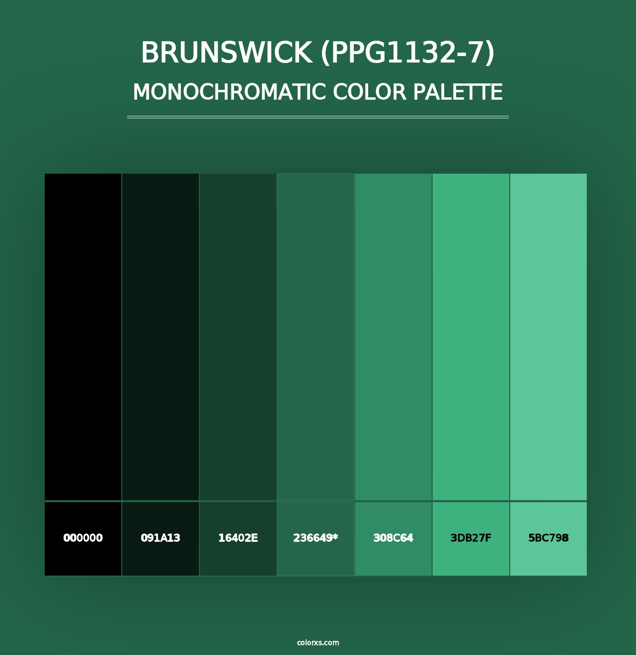 Brunswick (PPG1132-7) - Monochromatic Color Palette