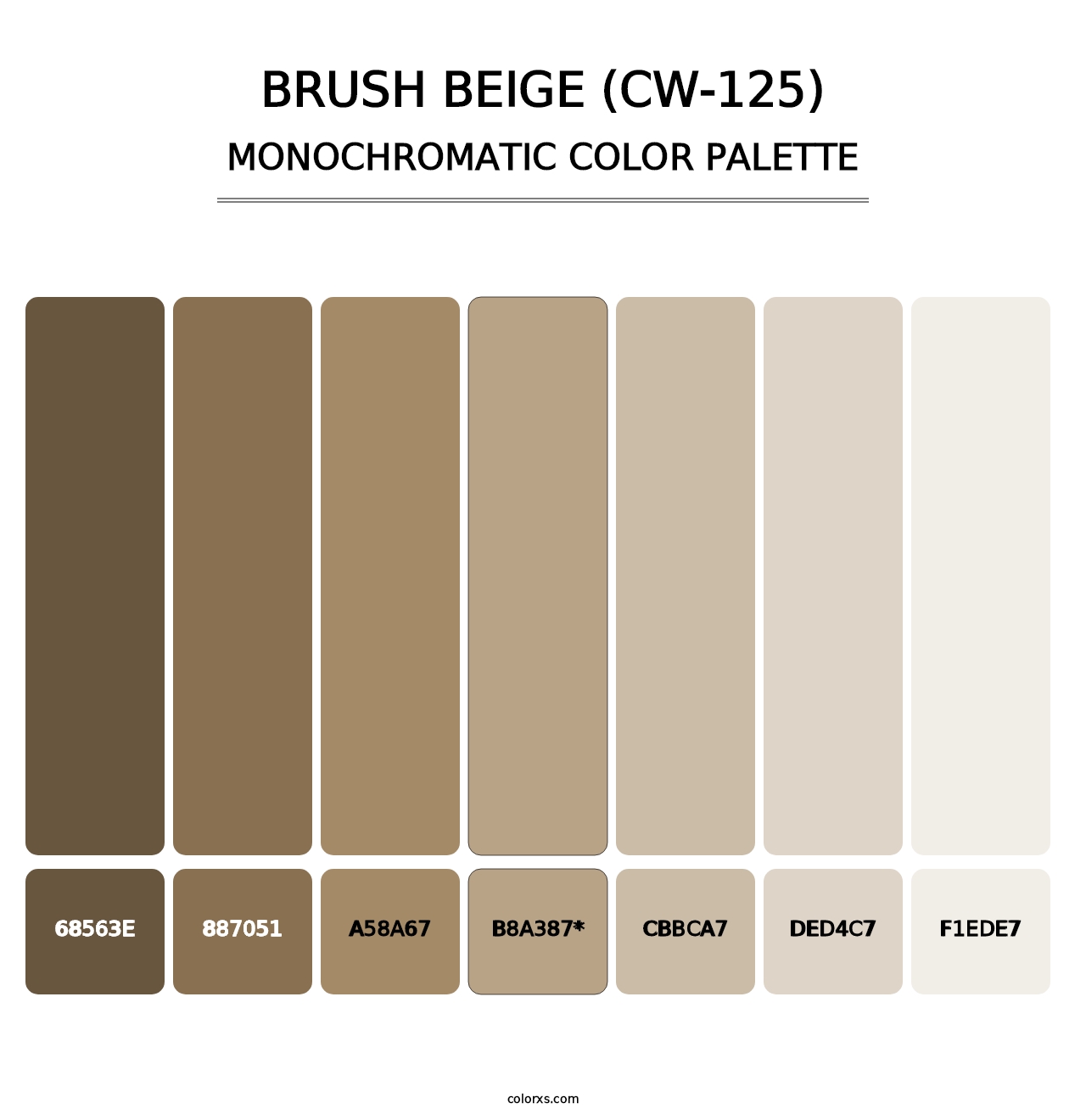 Brush Beige (CW-125) - Monochromatic Color Palette