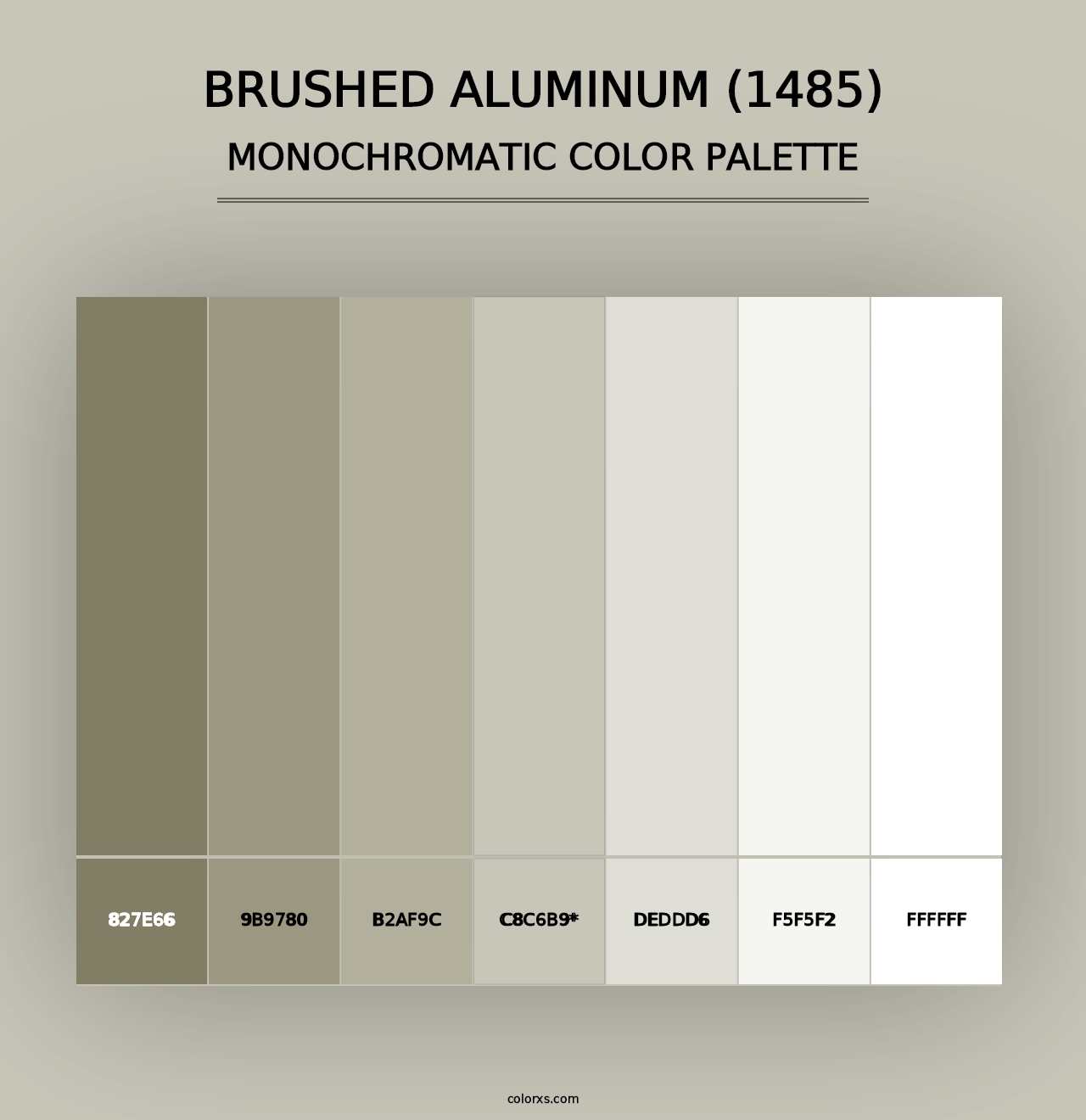 Brushed Aluminum (1485) - Monochromatic Color Palette