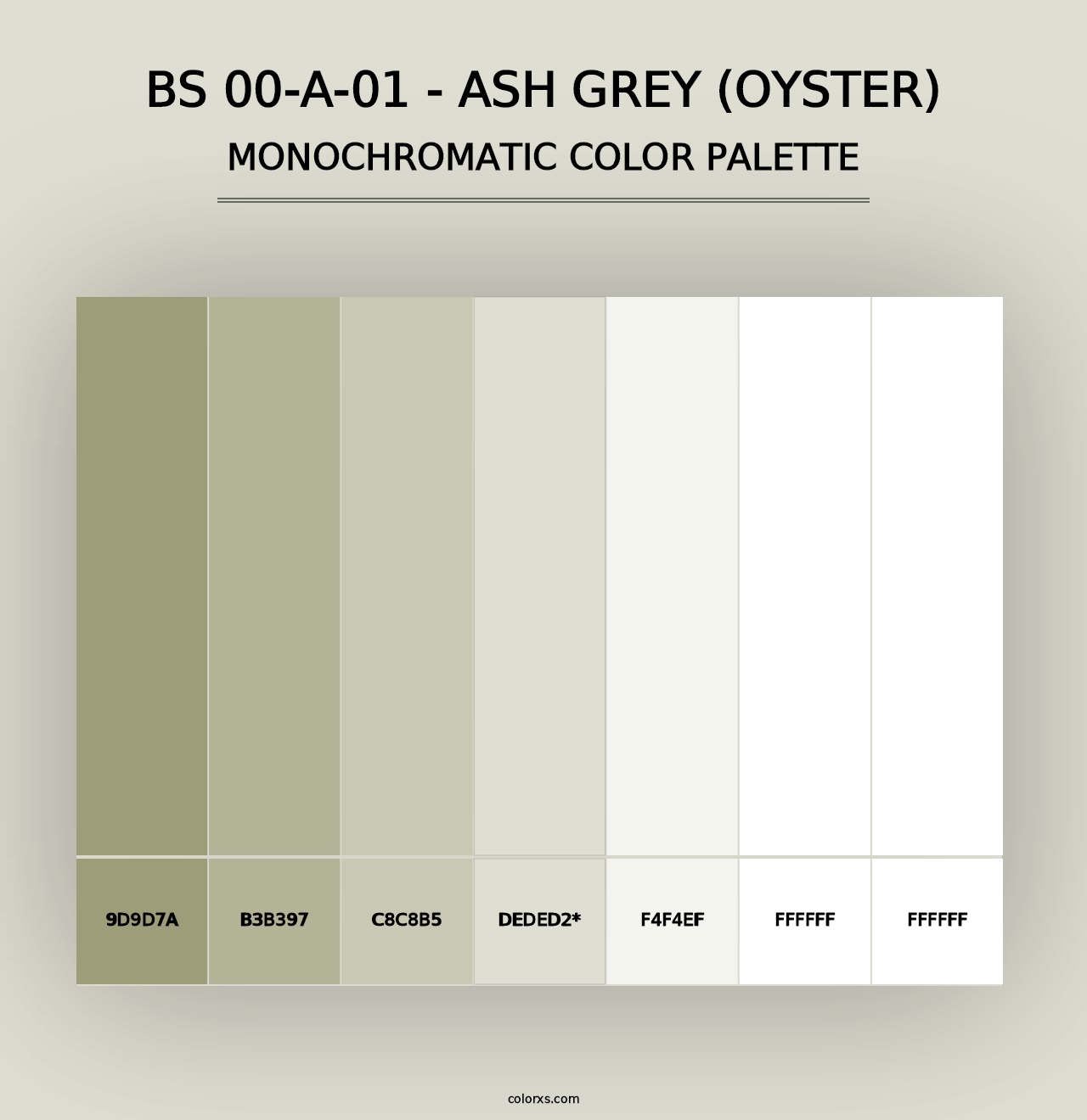 BS 00-A-01 - Ash Grey (Oyster) - Monochromatic Color Palette