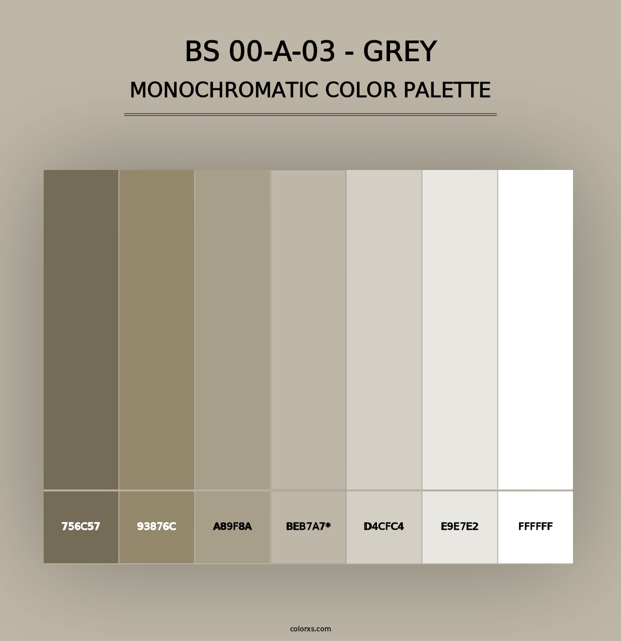 BS 00-A-03 - Grey - Monochromatic Color Palette