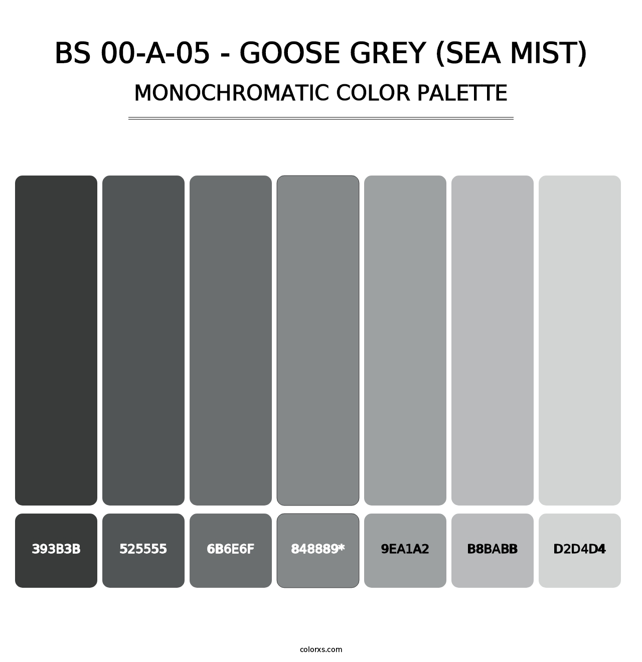 BS 00-A-05 - Goose Grey (Sea Mist) - Monochromatic Color Palette