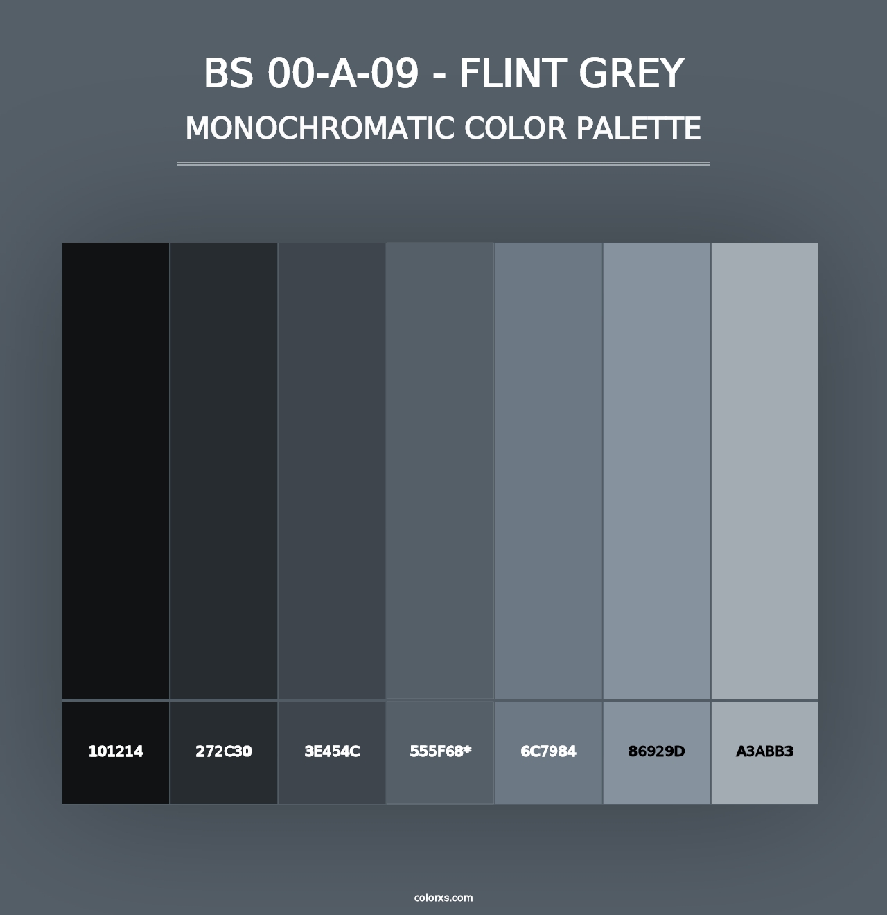 BS 00-A-09 - Flint Grey - Monochromatic Color Palette