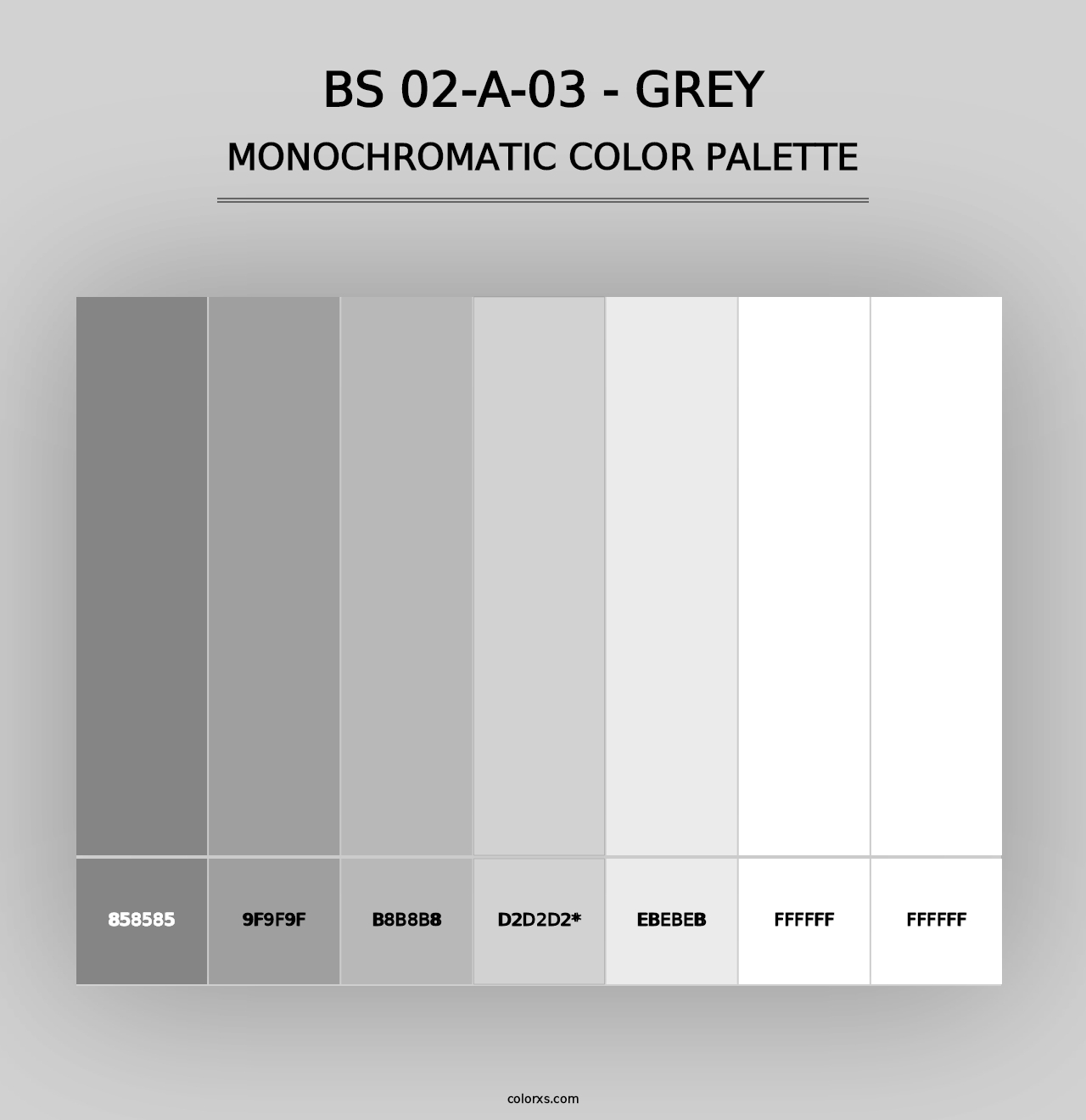 BS 02-A-03 - Grey - Monochromatic Color Palette