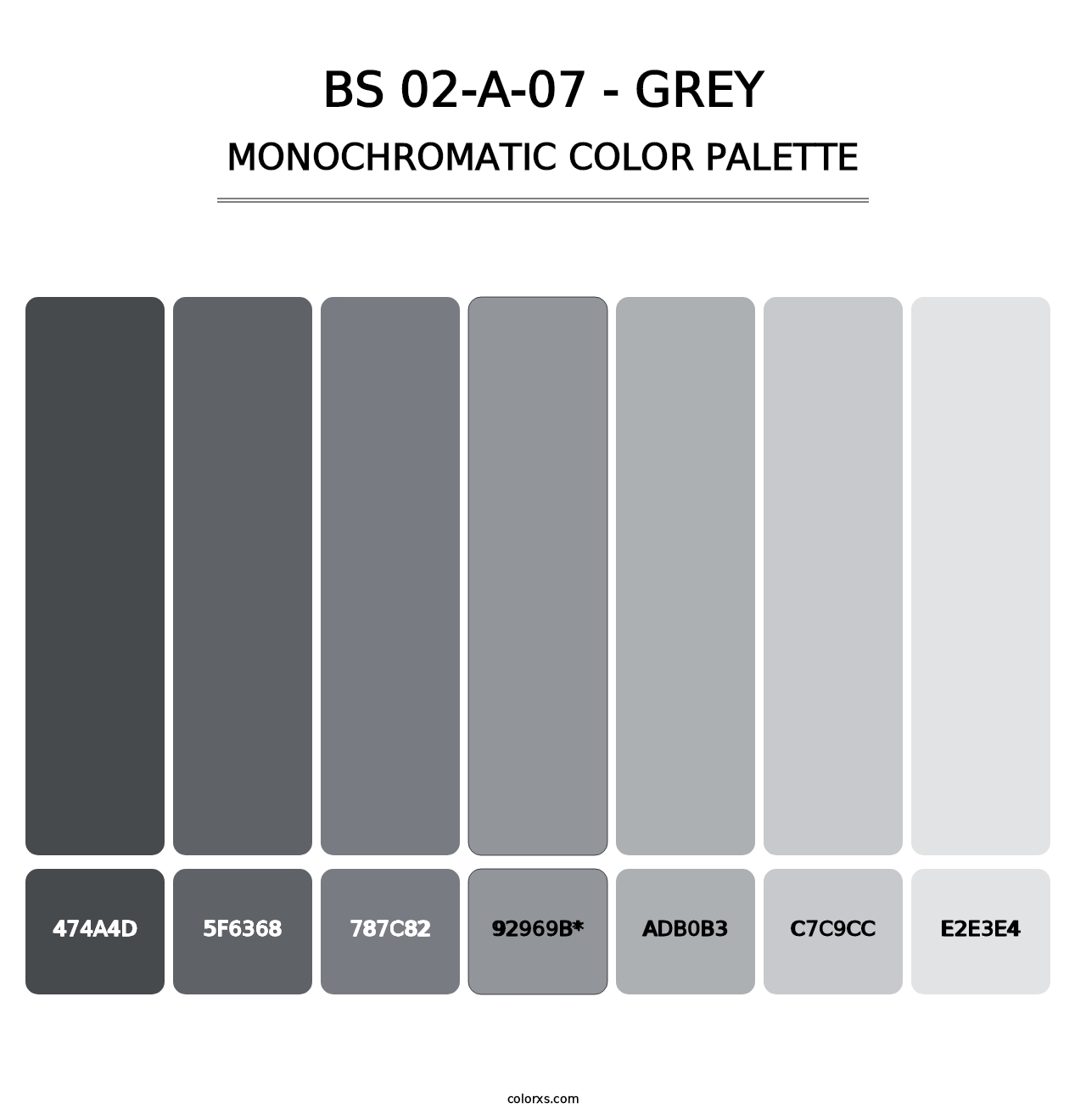 BS 02-A-07 - Grey - Monochromatic Color Palette