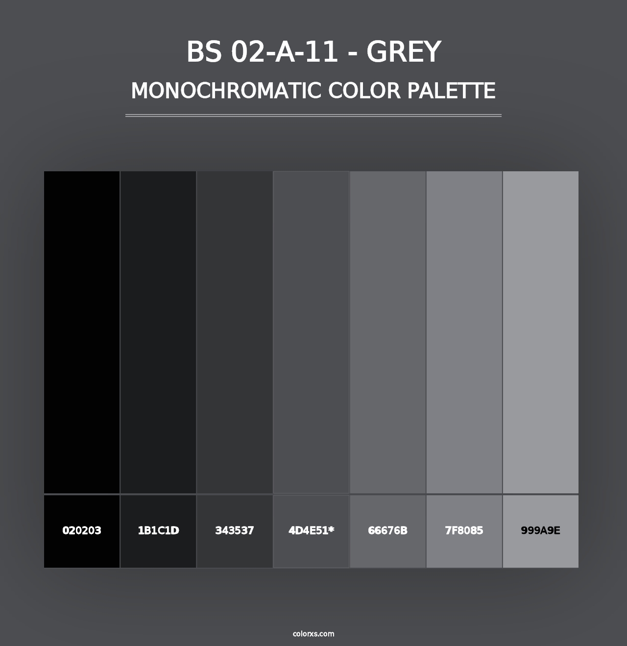 BS 02-A-11 - Grey - Monochromatic Color Palette