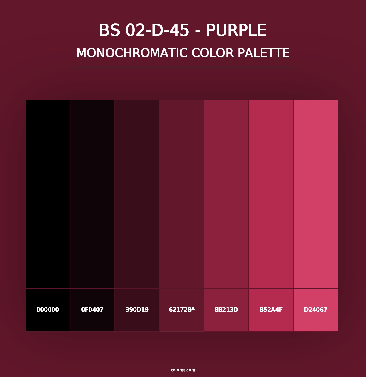 BS 02-D-45 - Purple - Monochromatic Color Palette