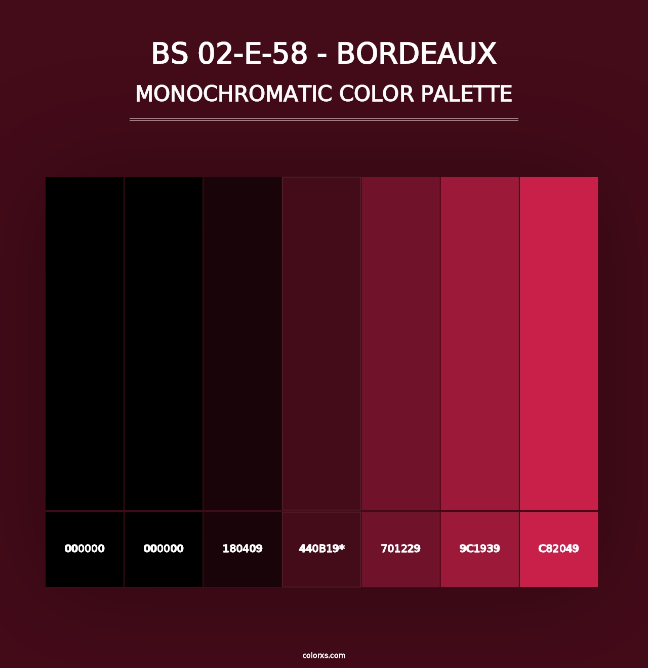 BS 02-E-58 - Bordeaux - Monochromatic Color Palette