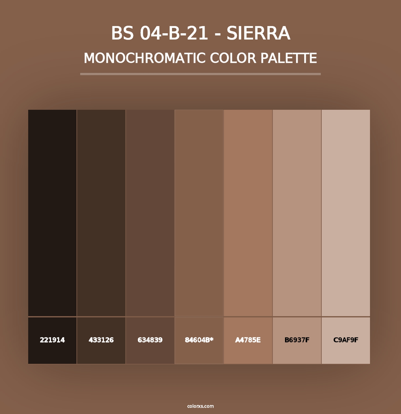 BS 04-B-21 - Sierra - Monochromatic Color Palette