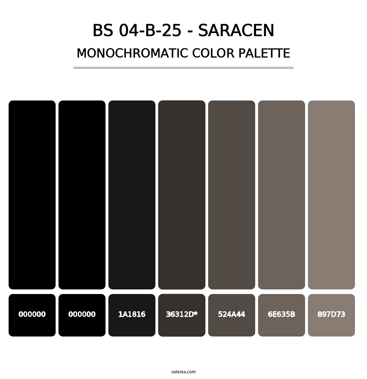 BS 04-B-25 - Saracen - Monochromatic Color Palette