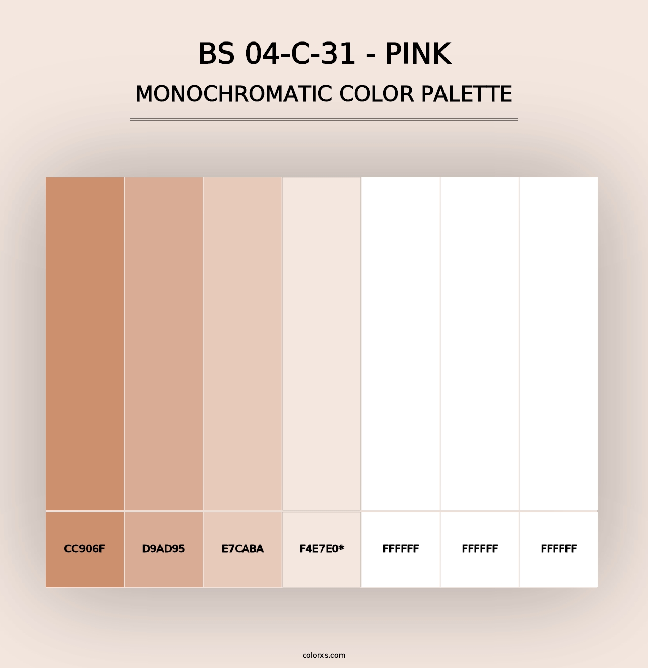 BS 04-C-31 - Pink - Monochromatic Color Palette