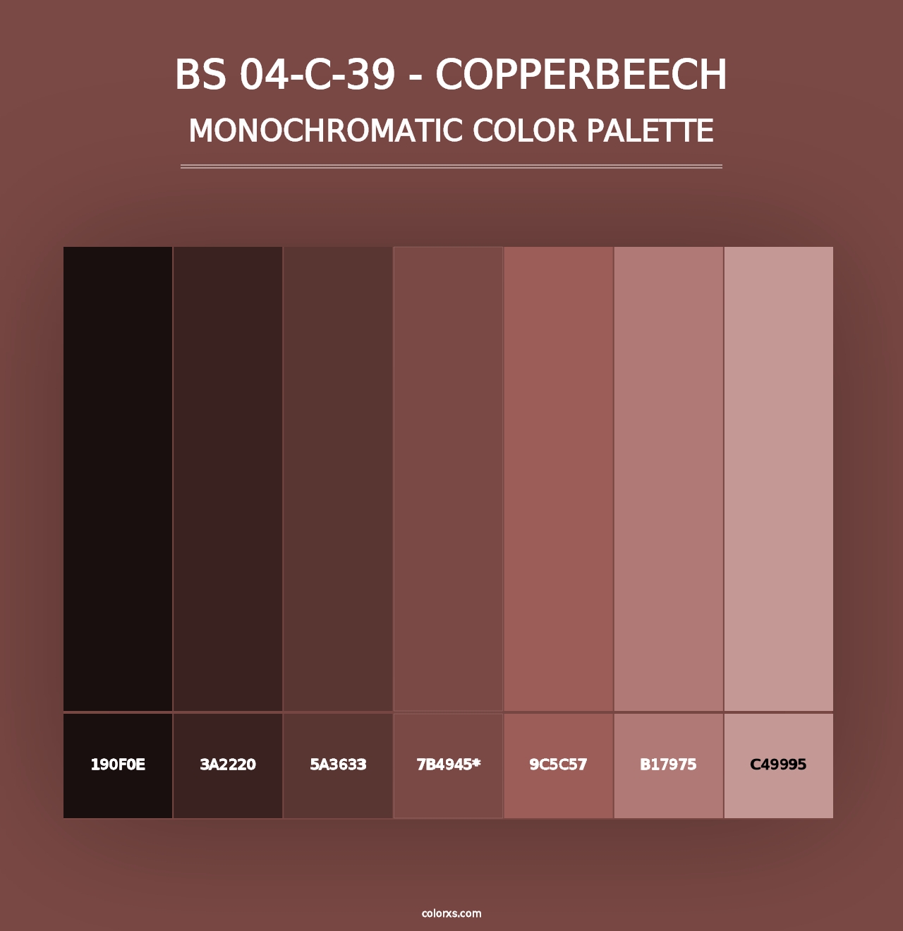 BS 04-C-39 - Copperbeech - Monochromatic Color Palette