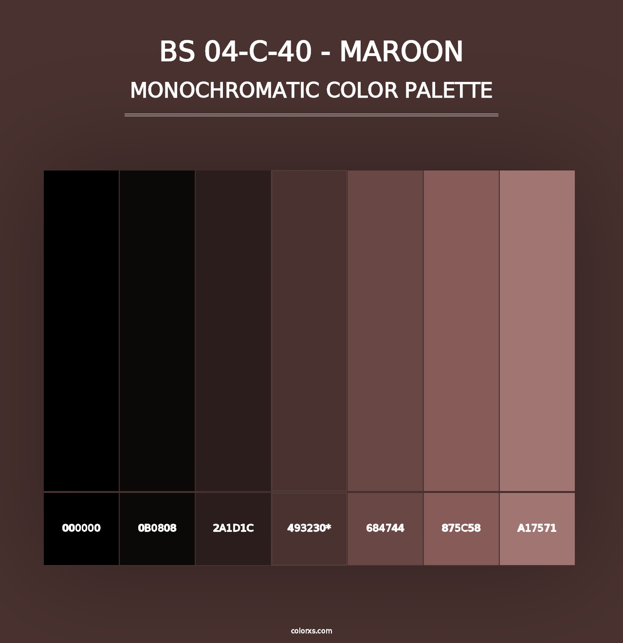 BS 04-C-40 - Maroon - Monochromatic Color Palette