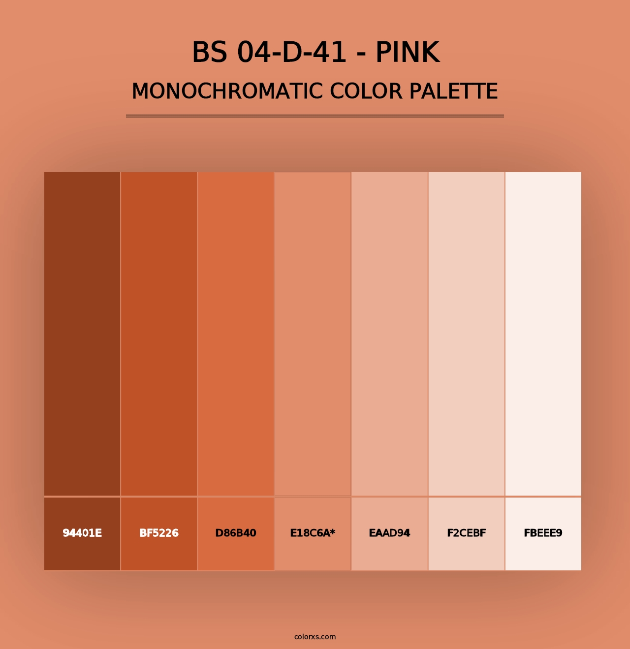 BS 04-D-41 - Pink - Monochromatic Color Palette