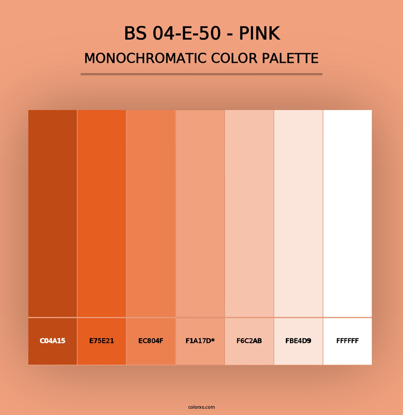 BS 04-E-50 - Pink - Monochromatic Color Palette