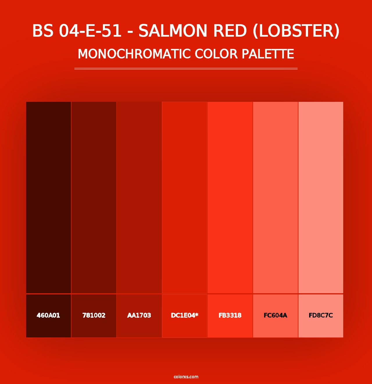 BS 04-E-51 - Salmon Red (Lobster) - Monochromatic Color Palette