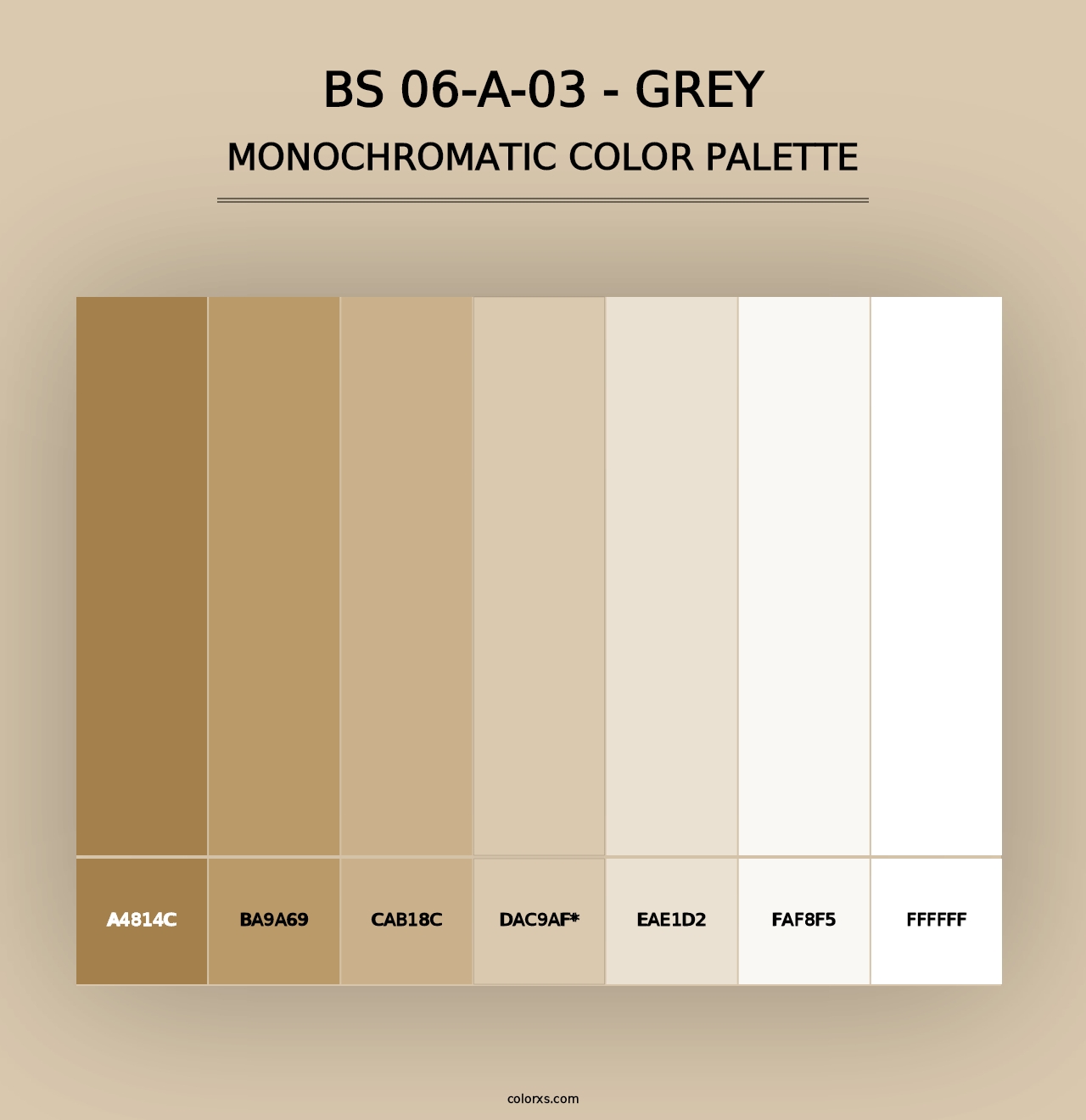 BS 06-A-03 - Grey - Monochromatic Color Palette