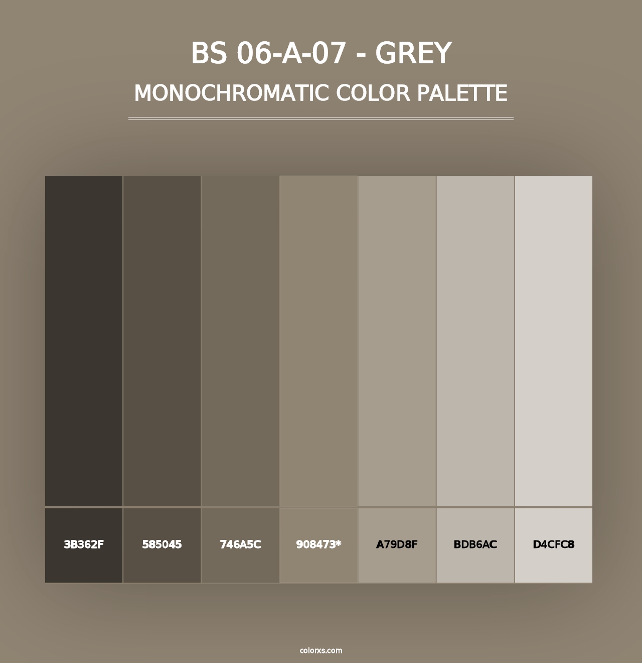 BS 06-A-07 - Grey - Monochromatic Color Palette