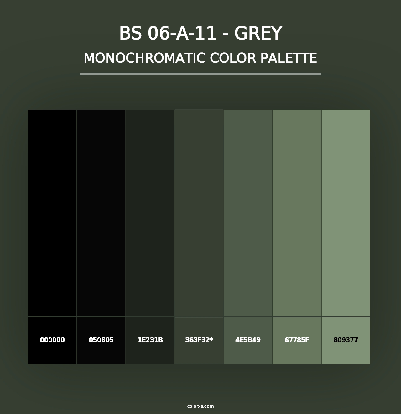 BS 06-A-11 - Grey - Monochromatic Color Palette