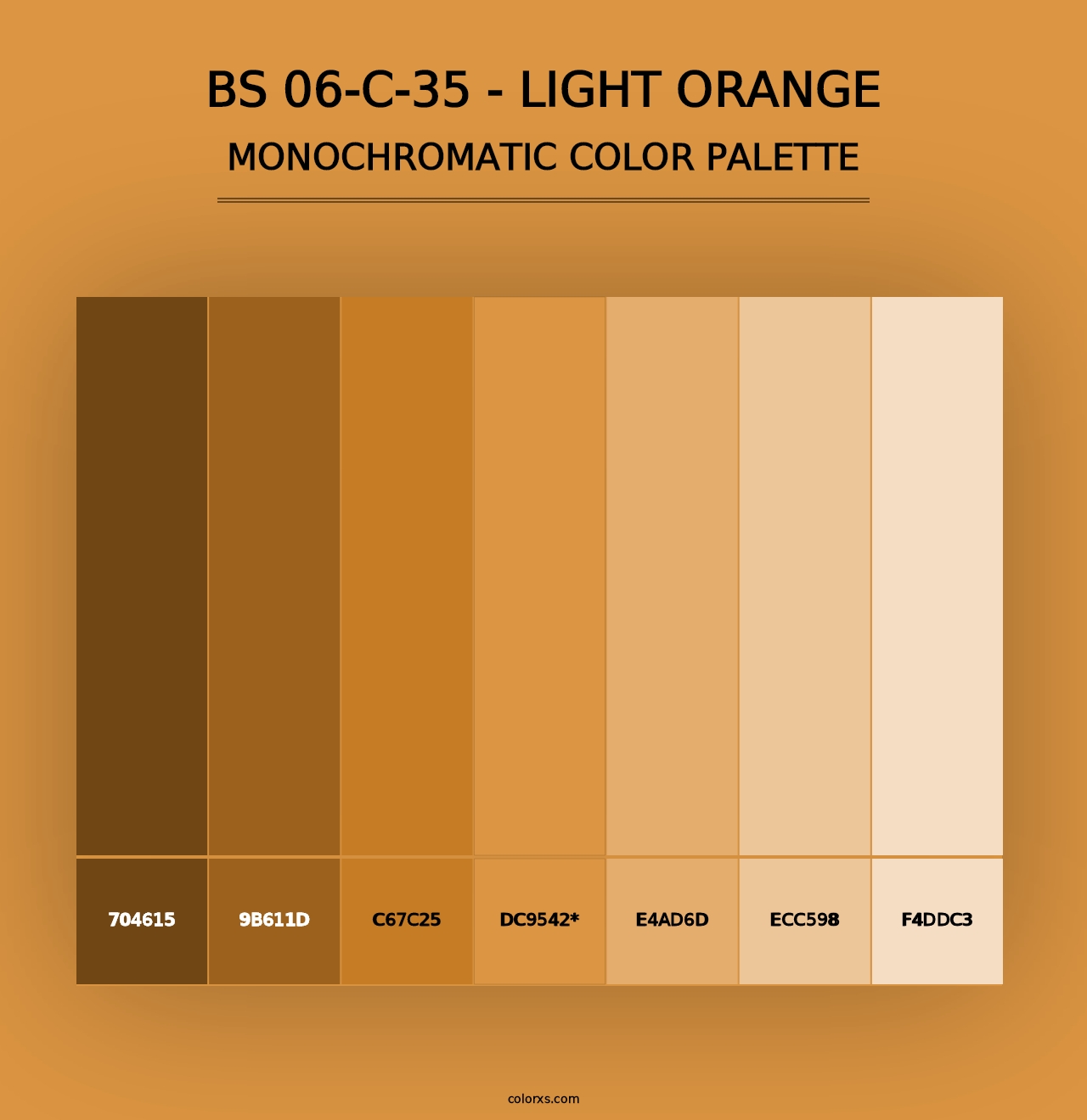 BS 06-C-35 - Light Orange - Monochromatic Color Palette