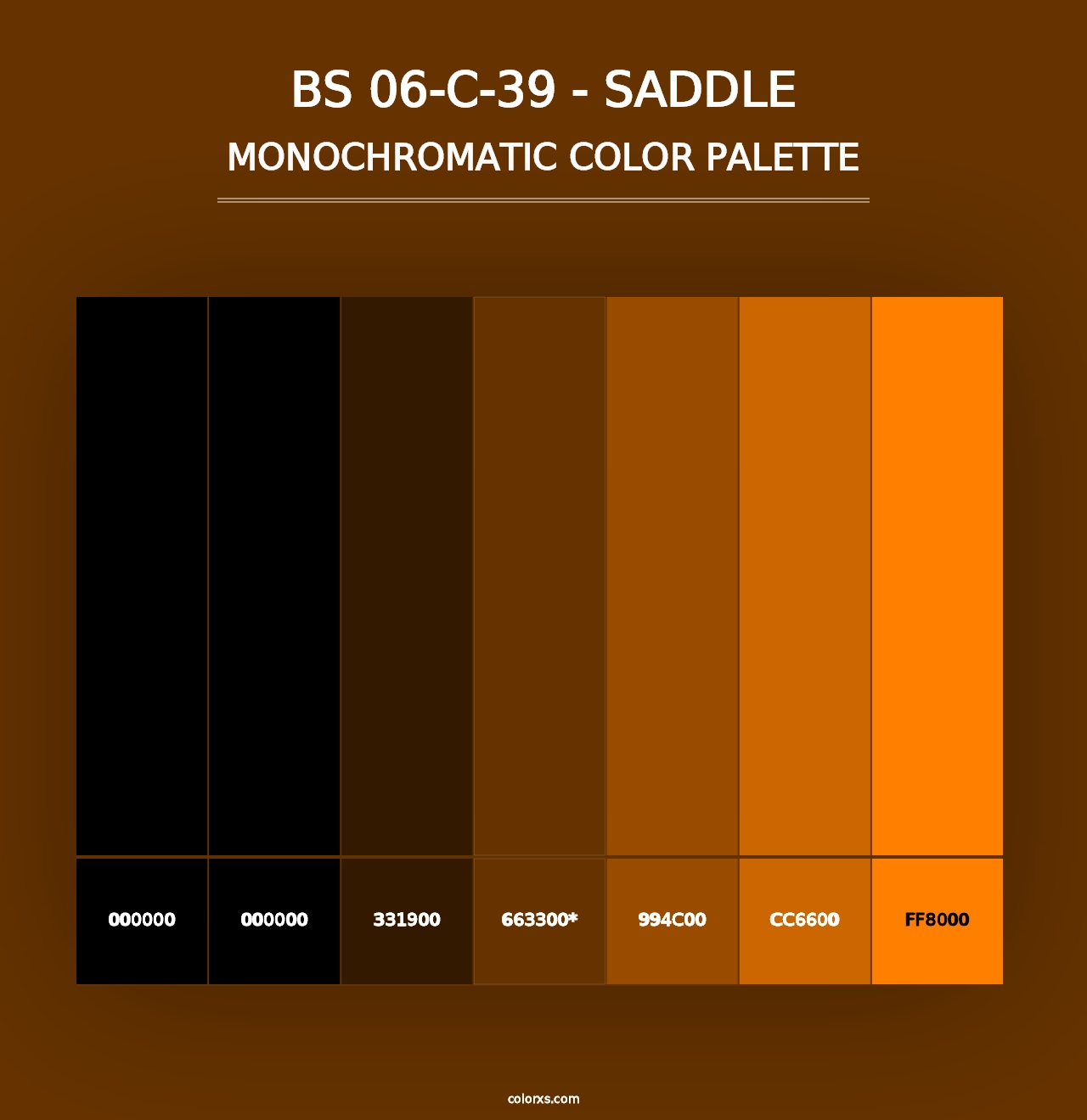 BS 06-C-39 - Saddle - Monochromatic Color Palette