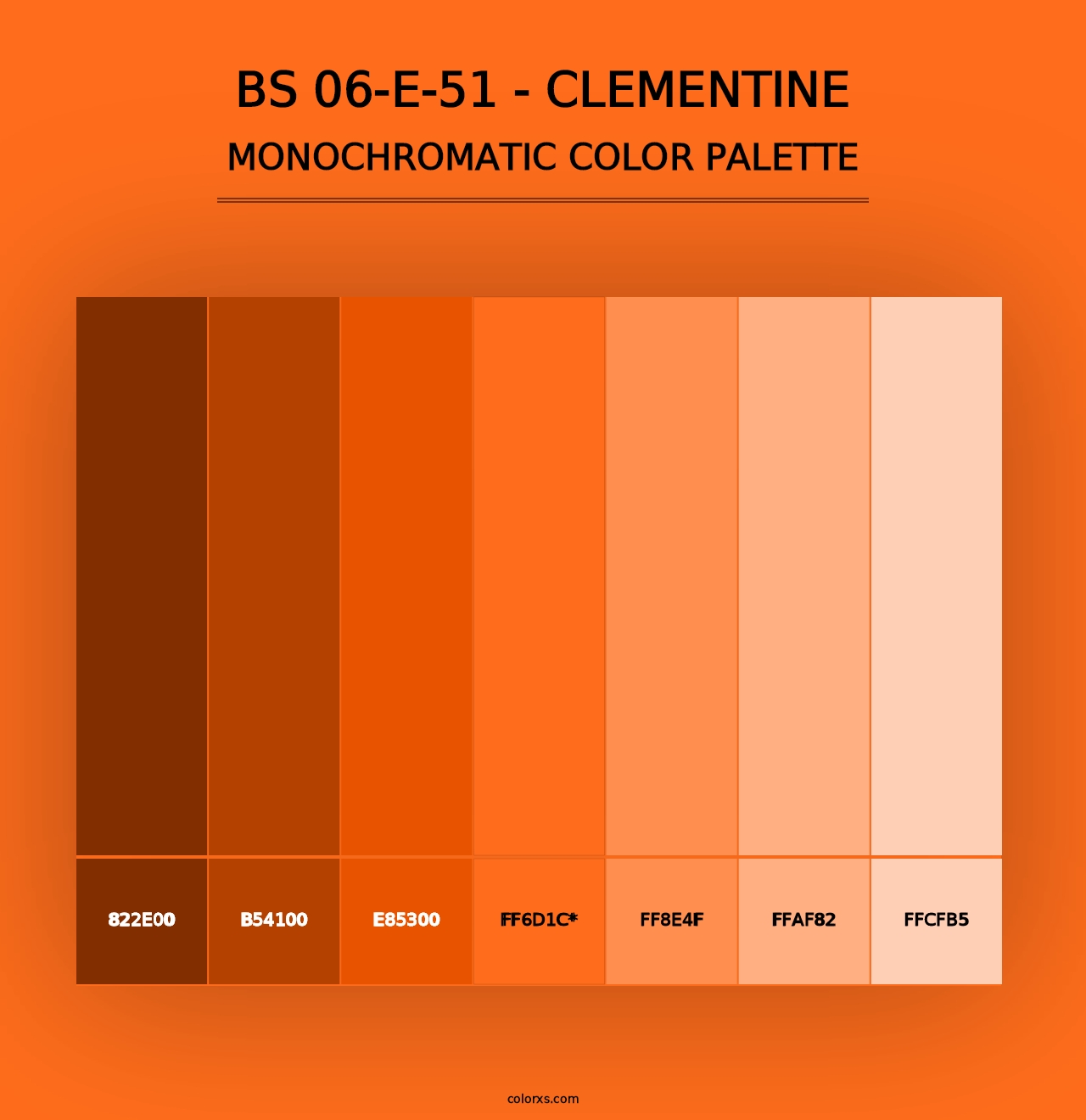 BS 06-E-51 - Clementine - Monochromatic Color Palette