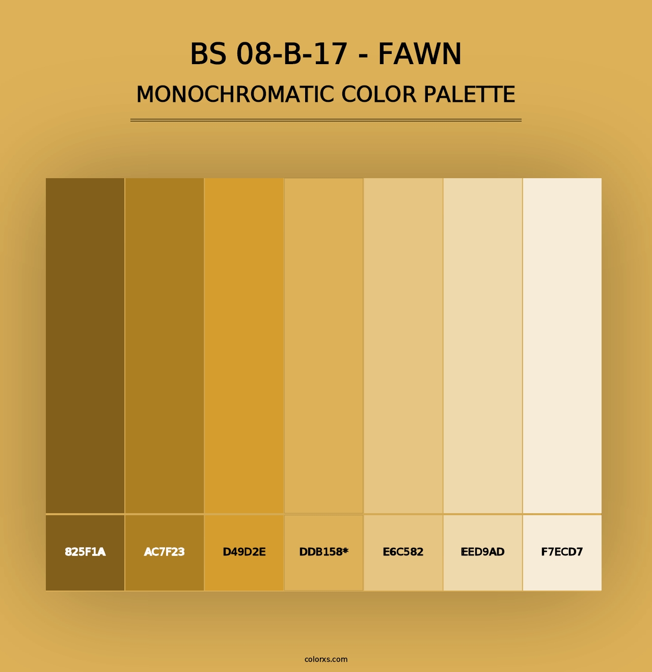 BS 08-B-17 - Fawn - Monochromatic Color Palette