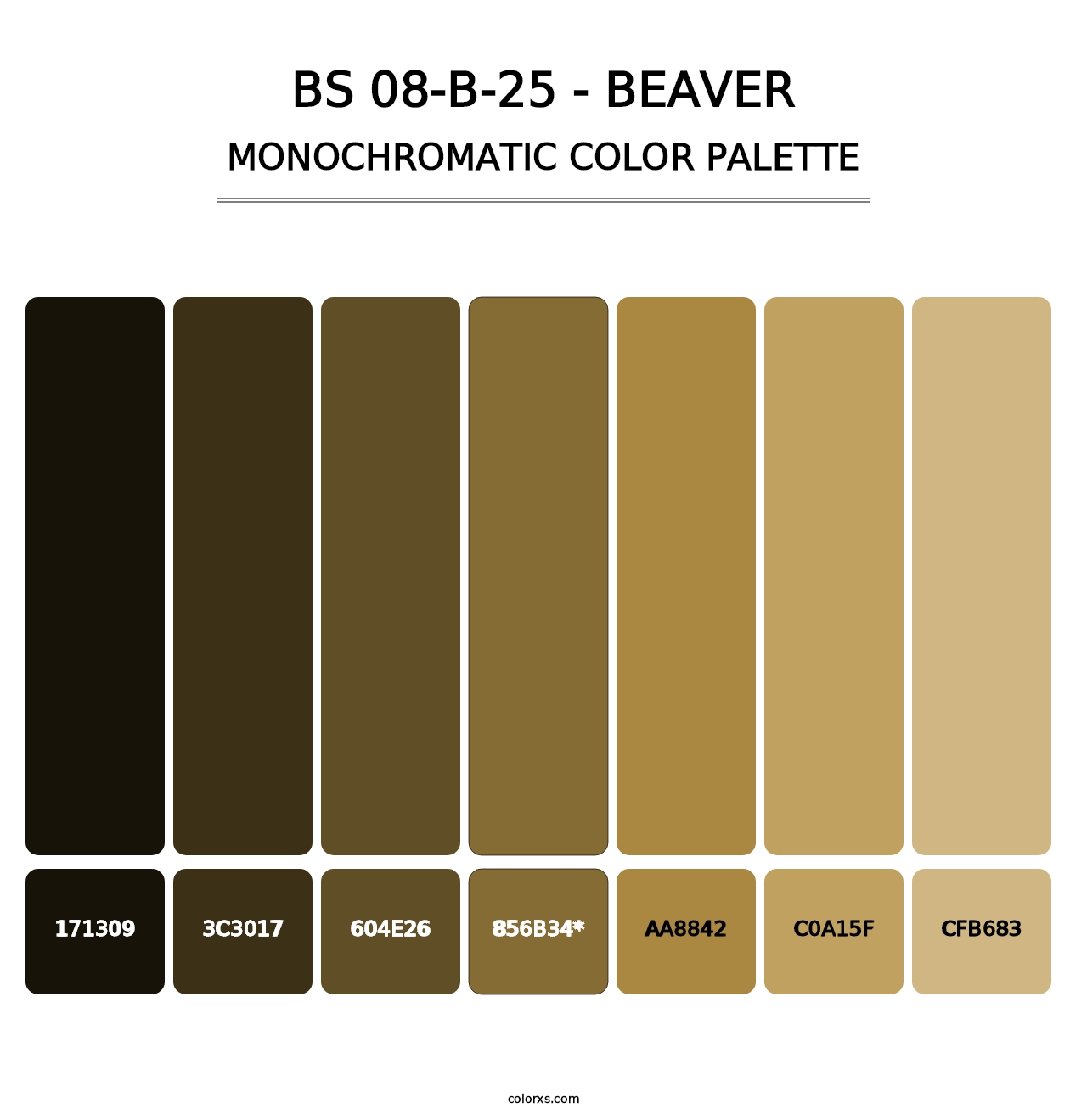 BS 08-B-25 - Beaver - Monochromatic Color Palette